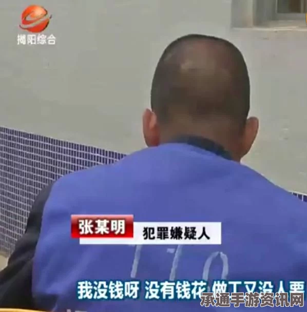龙之信条2支线任务小树的潜力攻略及技巧方法详解