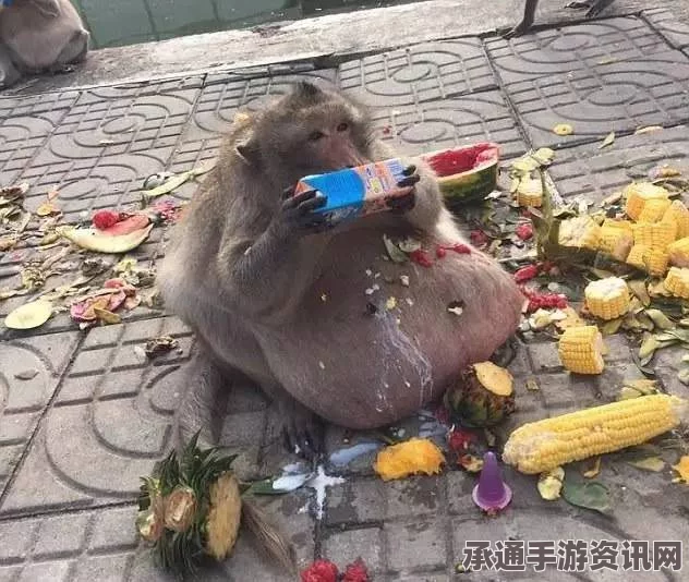 韩国情报院最新消息，金正恩可能出席朝鲜潜射导弹试射现场—解析背后的技巧与方法