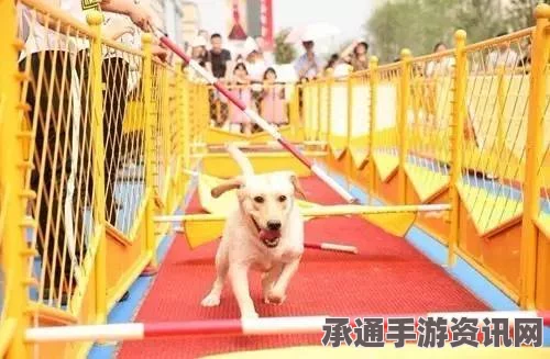 燧石枪黎明之围裂隙寻觅者攻略，技巧方法与完成指南