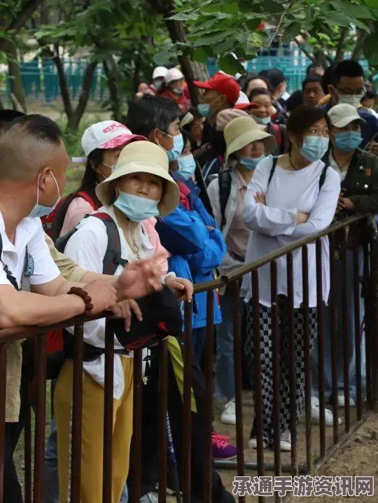 射雕折梅遥寄乡愁，漫漫成就的获取方法与技巧详解
