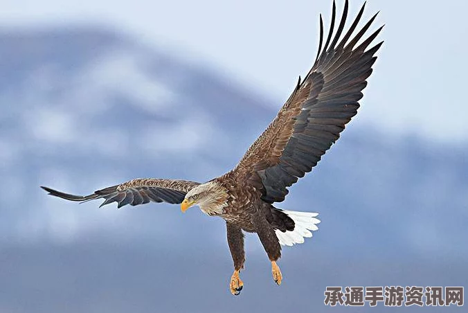 韩法院即将裁定日韩请求权协定违宪问题，方法与技巧讲解及潜在影响分析