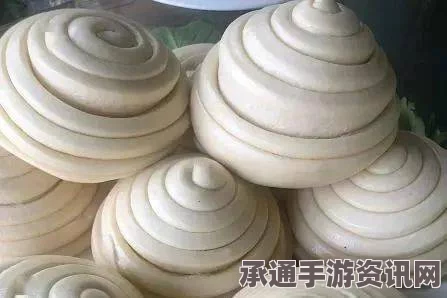 德国曝光，逾800名伊斯兰圣战者离境加入恐怖组织——挑战应对技巧与方法探讨