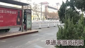 北极泼洒热茶，瞬间美景与技巧解析（图）