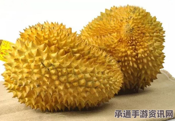 吉隆坡面临恐袭威胁—警方加强戒备，民众应对技巧方法探讨