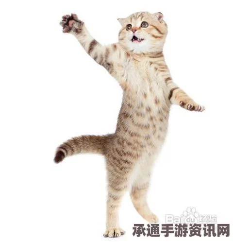 鬼泣5图文攻略大全，全关卡剧情流程、BOSS打法、魔魂收集及隐秘关卡攻略