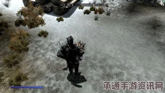 美国特大暴风雪致灾，应对灾难的技巧与反思