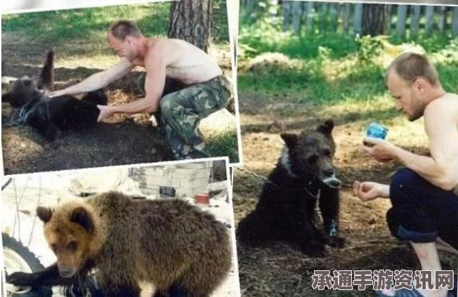 猎人野性的呼唤，猎物分布地图及全猎物位置详解与技巧方法分享