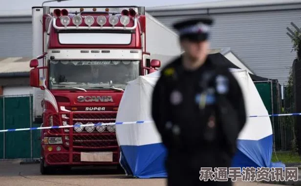 伦敦货车冲撞事件致多人伤亡,警方调查关注潜在恐怖袭击及应对方法揭秘