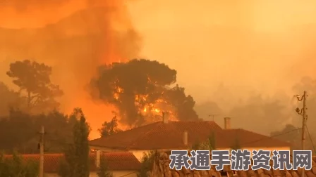 葡萄牙森林大火致灾情严重，全国进入紧急状态，应对灾难的技巧方法与反思