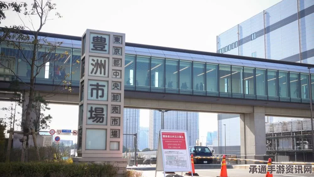 东京筑地市场迁移,丰洲新址的安全防污染策略揭秘