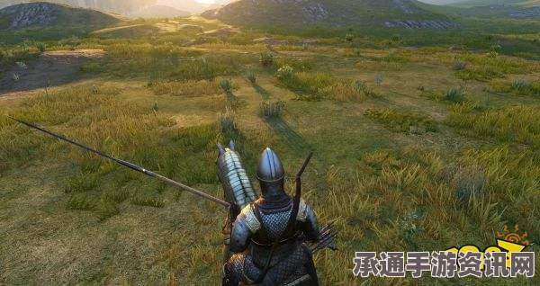 骑马与砍杀2实用长杆武器解析及战斗技巧探讨