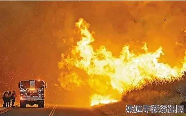葡萄牙林火肆虐，致命大火夺走24条生命—应对林火的技巧与方法