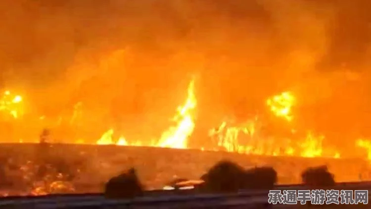 葡萄牙林火肆虐，致命大火夺走24条生命—应对林火的技巧与方法