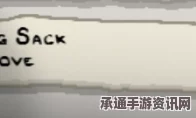 以撒的结合，胎衣被动道具符文袋详解及实用技巧方法