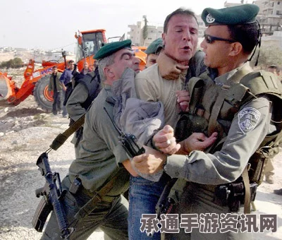 巴勒斯坦人对以色列警察的袭击事件，方法与反思