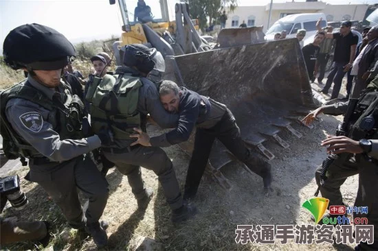 巴勒斯坦人对以色列警察的袭击事件，方法与反思