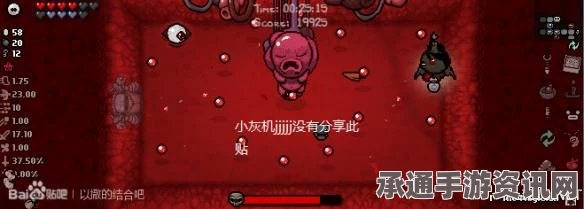 以撒的结合胎衣被动道具保护圈攻略详解与实用技巧探索