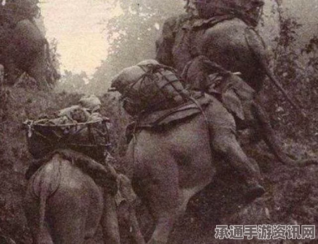 印度政府可能放松严格牲畜交易令，争议背后的考量与策略技巧