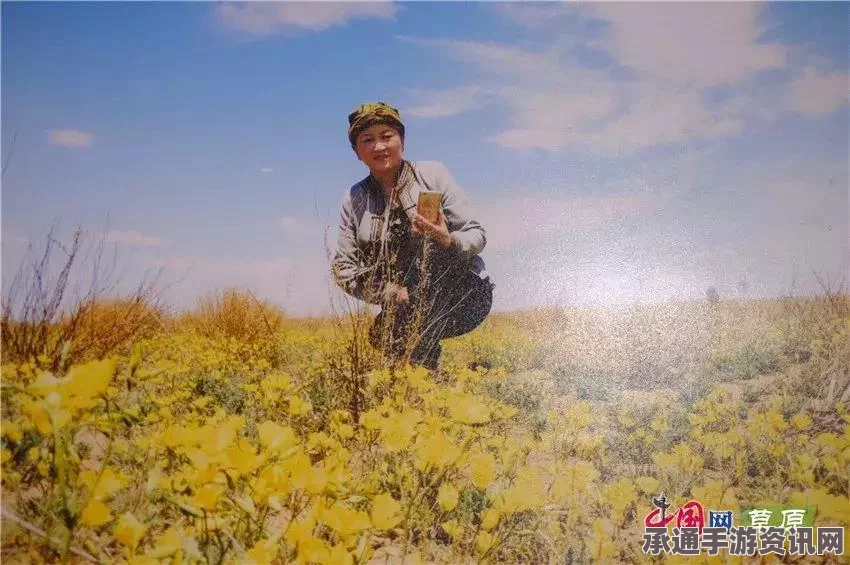 王者荣耀，探寻天鹅头像框的失落与获取时机