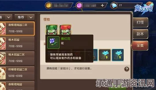 光遇5.21魔法盛典揭秘，技巧攻略助你轻松收集，畅游游戏世界