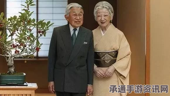 日本天皇退位法解析，深度探讨与应对技巧（最晚需在2020年6月实施）