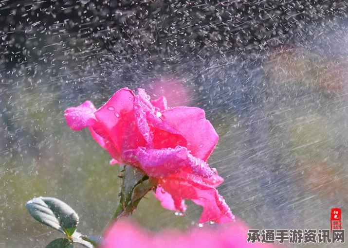 时光流转之庭风花雪月主题套装上架，深度解析搭配技巧与攻略心得
