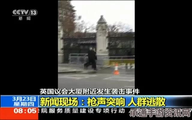 英国议会大厦外枪击事件，警方快速响应与应对技巧分析