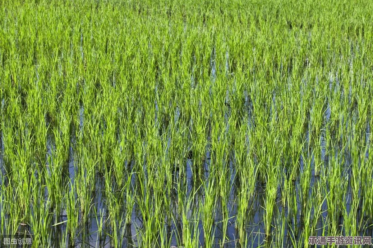 植物大战僵尸杂交版冒险第8关攻略详解及技巧分享