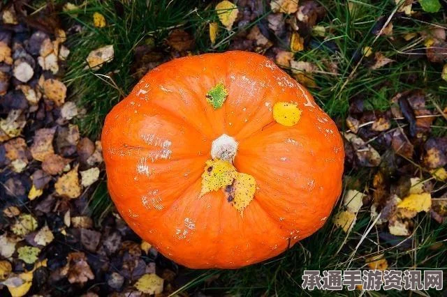 植物大战僵尸杂交版冒险第7关攻略详解与技巧分享