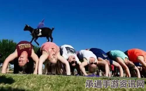 羊瑜伽风靡全美，高难度动作挑战指南与小羊助学员的秘籍（附图详解）