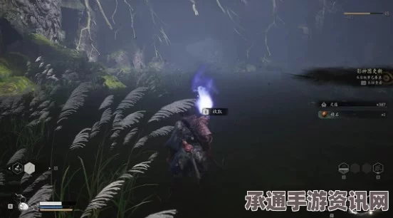 黑神话浪里个浪攻略技巧详解，如何战胜挑战与提升游戏体验
