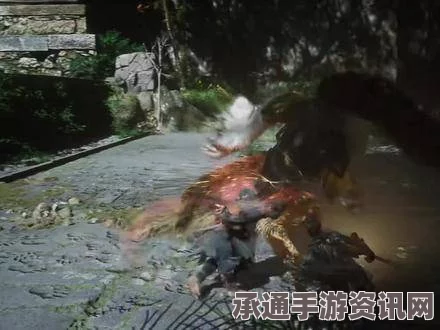 黑神话游戏中金色鲤与珍玩概率的提升技巧解析