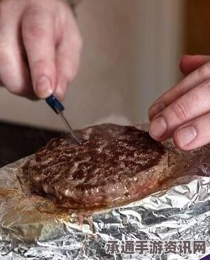 英国前餐厅老板创新电熨斗料理走红之路