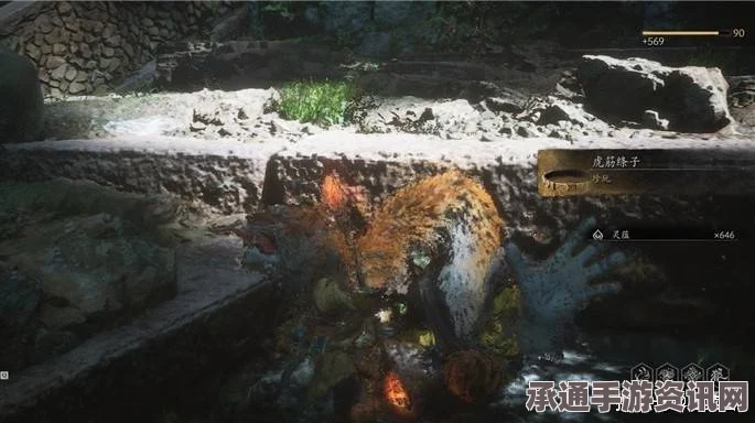 黑神话虎筋绦子，实用解析与技巧方法探讨