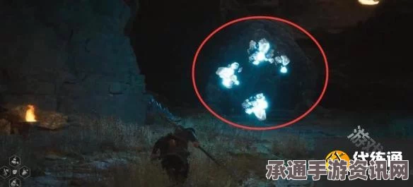 黑神话金花玉萼，购买决策与技巧方法详解