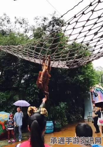 完美猴子任务攻略及存档下载，生存指南与困难难度通关技巧详解