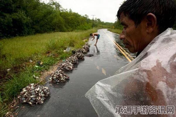生存指南，寻找黄金螃蟹的四大秘密地点