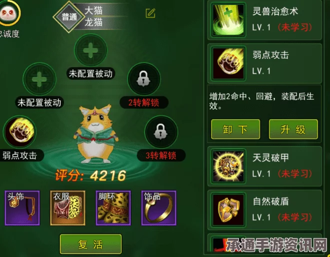热血江湖手游5月17日更新解析，新宠物修炼技巧全攻略