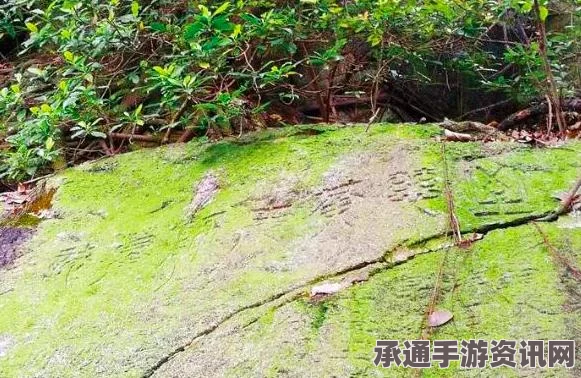 黑神话琼浆获取攻略，全方位技巧方法与问答解答汇总