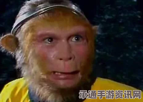 黑神话琼浆获取攻略，技巧方法与问答解答