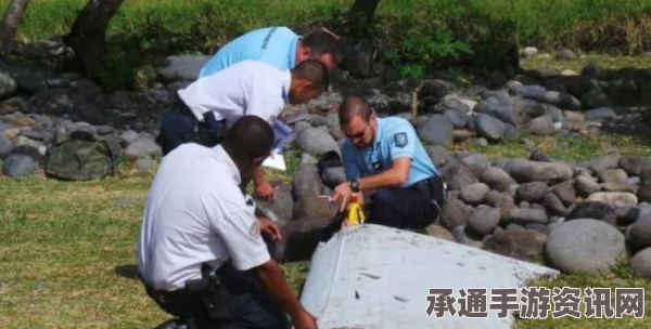 南非少年发现疑似MH370残片，探寻真相之旅与技巧方法揭秘