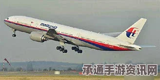 南非少年发现疑似MH370客机残片，探寻真相的过程与技巧方法