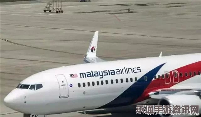 南非少年发现疑似MH370客机残片，探寻真相的过程与技巧方法