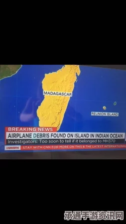 法属留尼汪岛海岸再现疑似MH370碎片，探寻与解析搜寻技巧方法