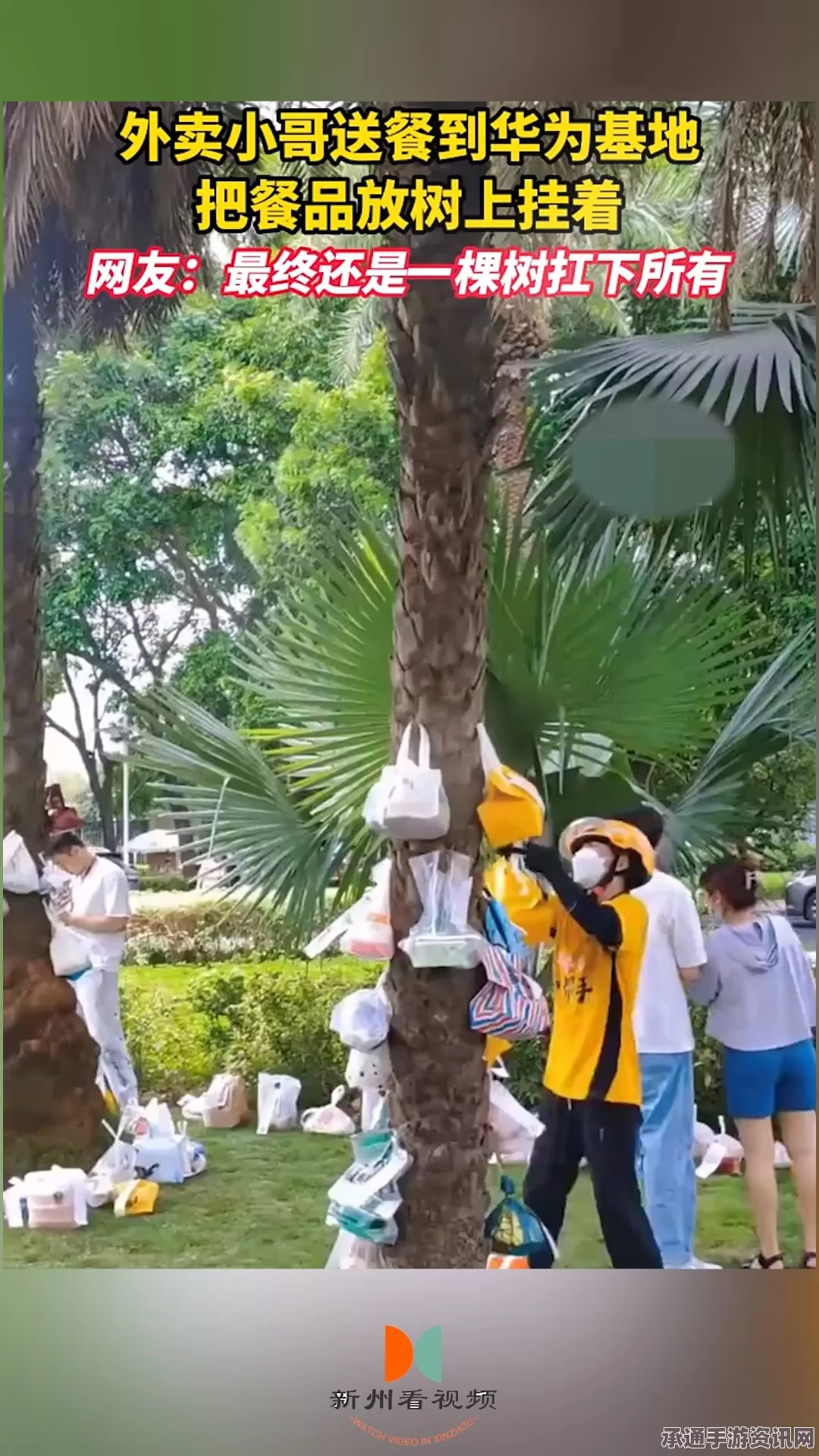 世界之外，植树激励与探索世界树的全新篇章
