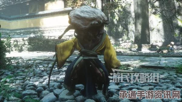 黑神话悟空小呱呱影神图攻略，技巧详解与揭秘