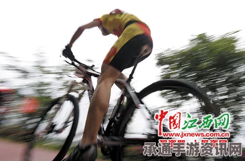 非洲一鸵鸟与自行车手公路赛跑，速度与激情的跨界对决走红网络