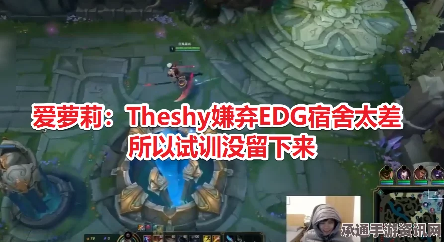VG王者荣耀分队队员爱萝莉命名引发粉丝热议，深度解析及应对技巧探讨
