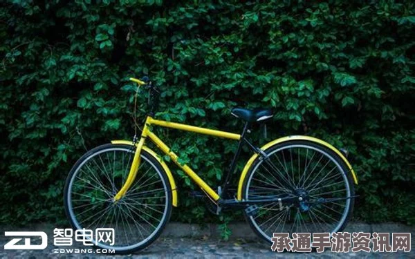 非洲一鸵鸟与自行车手公路赛跑走红网络，技巧方法与问答解析