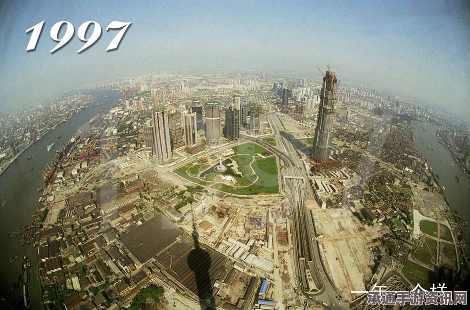 英国风暴中的乌鸦群，记录与深度解析